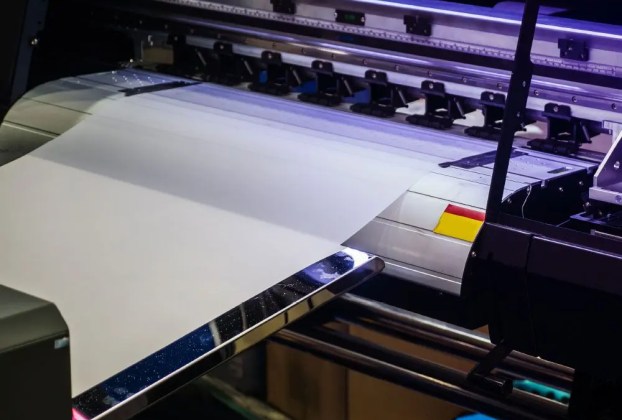 DTF2U Review: All you need to know about the Direct to Film Services!