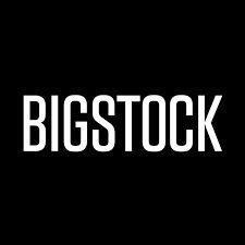 Bigstock Review 2022, One of the best Stocks!