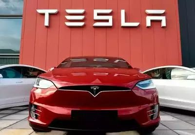 Can we Invest in Tesla, Find out the Risks!