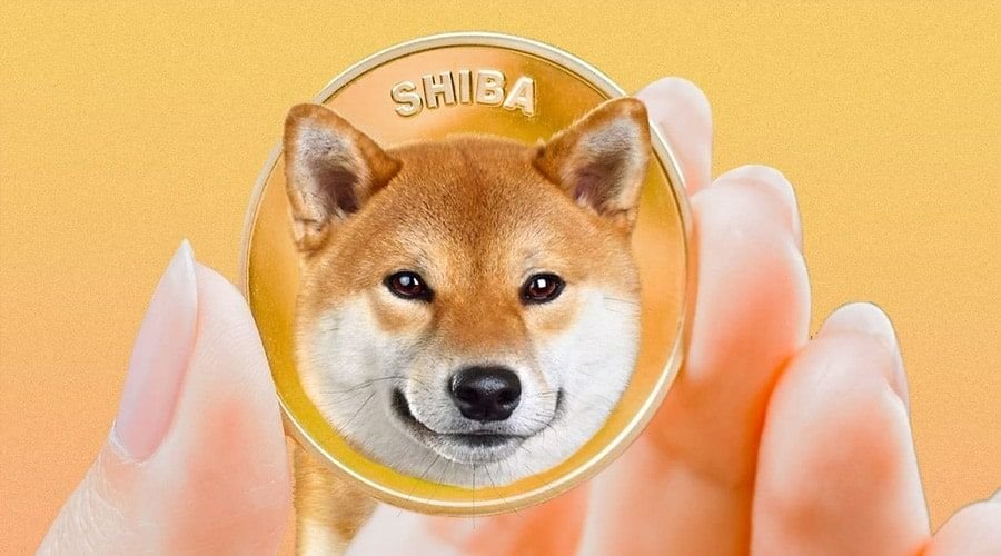 RenQ Finance: one of the initial 100 owners of Shiba Inu (SHIB) made $100 million during the bull run